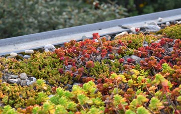 the cost of Commercial End green roof installation