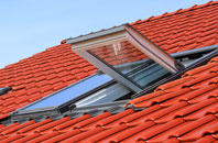 Commercial End roof window